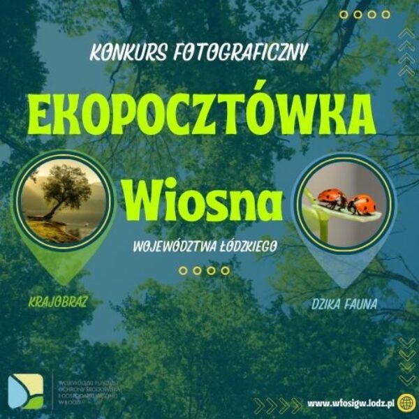 Zdjęcie prezentujące - EKOPOCZTÓWKA – edycja wiosenna!