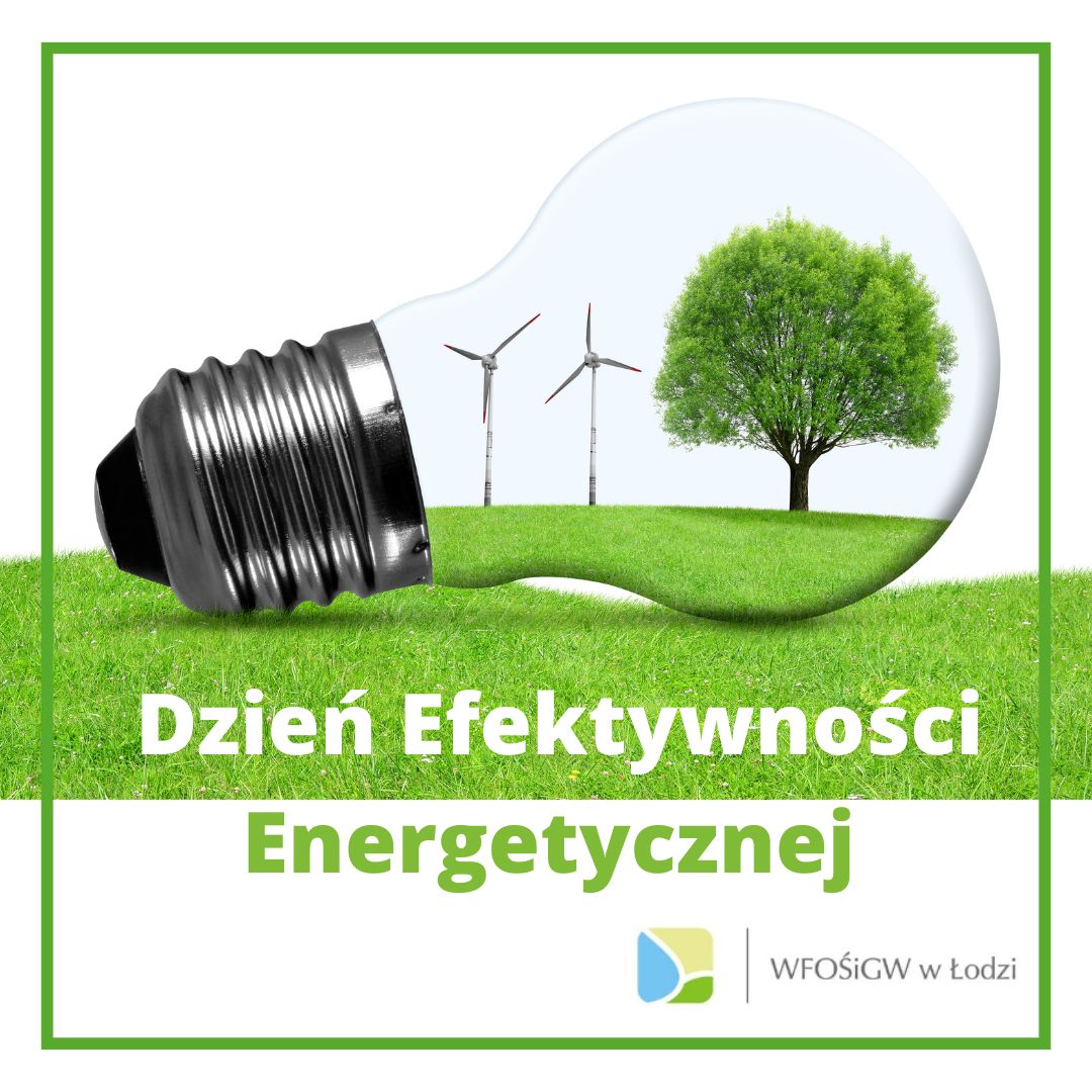 Dzień Efektywności Energetycznej